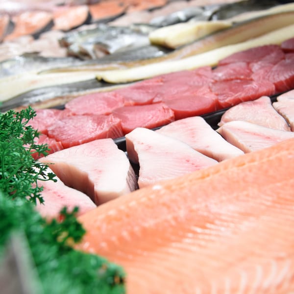 Seasonal Catch